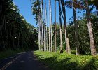 IMG 0903 - Version 2
